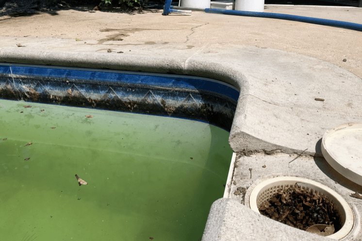 A neglected pool with a full skimmer and cloudy water
